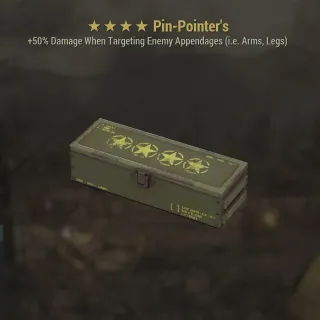 Pin-Pointer's Box Mod