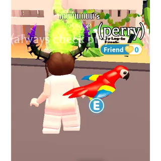 Parrot Fr