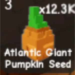 25X Atlantic Pumpkins🎃