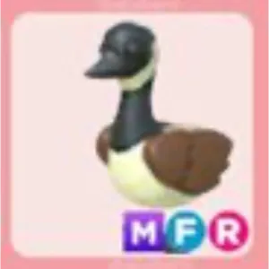 MFR Canada Goose