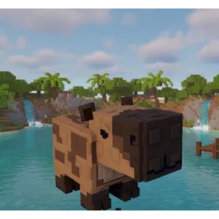 CAPYBARA RAISE ANIMALS ULTRA RARE + FREE PHOENIX BONUS