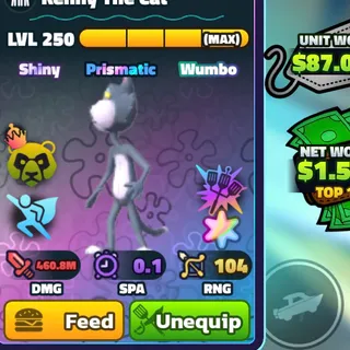 Superstar Kenny the cat