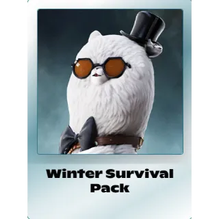 Once Human: Winter Survival Pack in-game Key