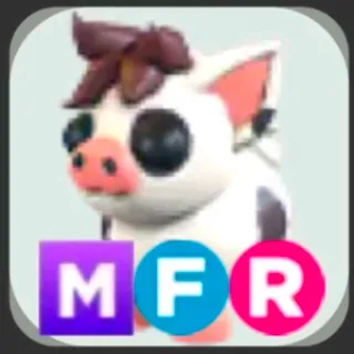 Mini Pig