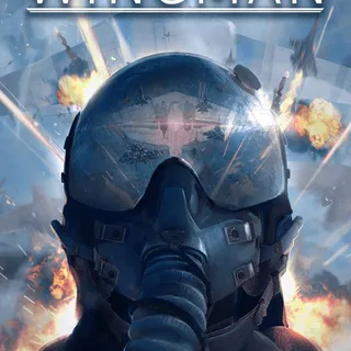 Project Wingman Steam Key GLOBAL