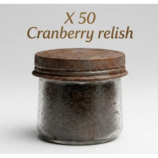 X50 Cranberry relish