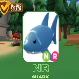 NR Shark