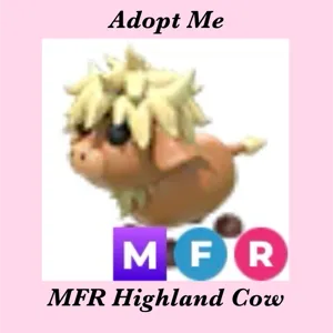 MFR HIGHLAND COW