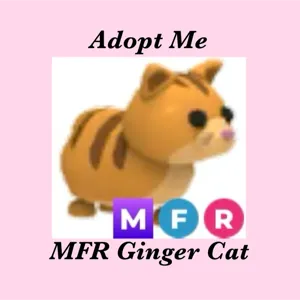 MFR Ginger Cat
