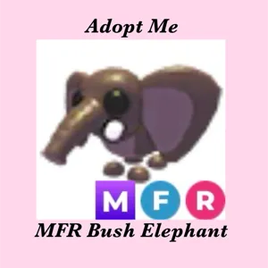 MFR BUSH ELEPHANT