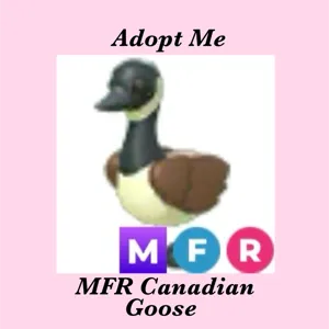 MFR CANADIAN GOOSE