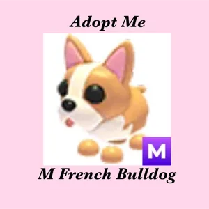 M FRENCH BULLDOG
