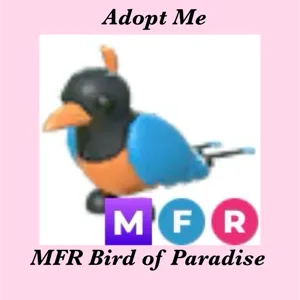MFR BIRD OF PARADISE