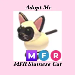 MFR SIAMESE CAT