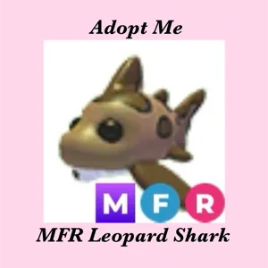 MFR LEOPARD SHARK