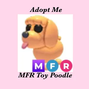 MFR TOY POODLE