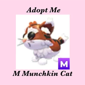 M MUNCHKIN CAT