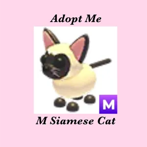 M Siamese Cat