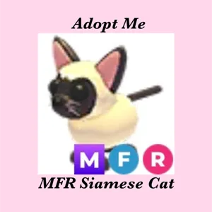 MFR SIAMESE CAT