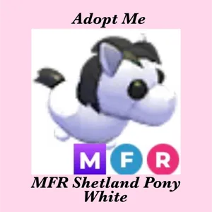 MFR SHETLAND PONY WHITE