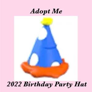 2022 BIRTHDAY PARTY HAT