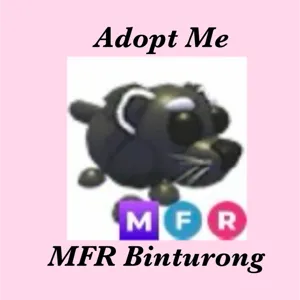 MFR BINTURONG