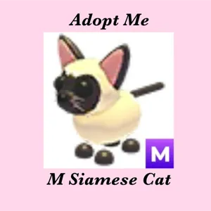 M SIAMESE CAT