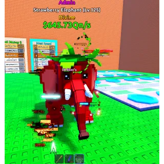 Admin Strawberry Elephant (645/qn/s)