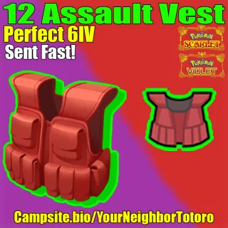 x12 Assault Vest - Pokemon Scarlet Violet