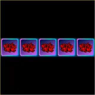 World Zero - Misery Aura 5X