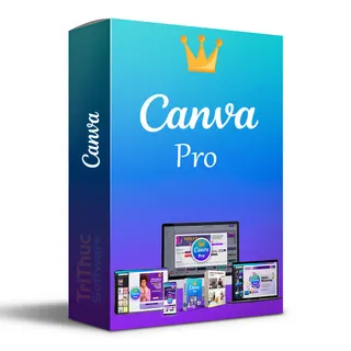 Canva Pro License