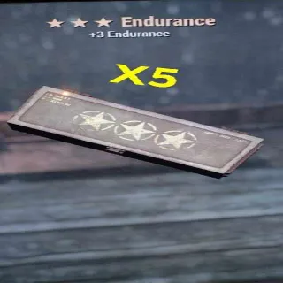 Endurance Mod X5