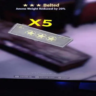 Belted Mod X5