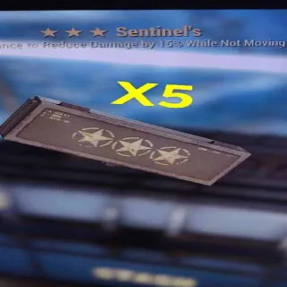 Sentinel Mods X5