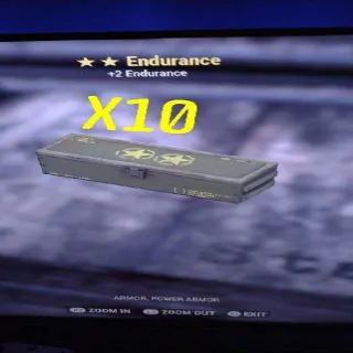 Endurance Mods X10