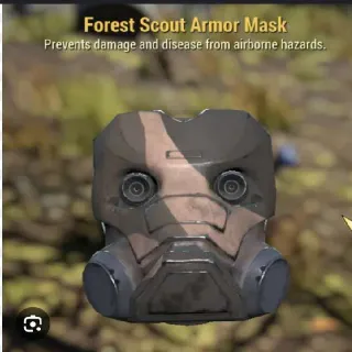 FSA Mask