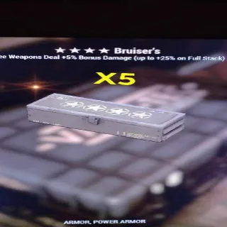 Bruisers Mod X5