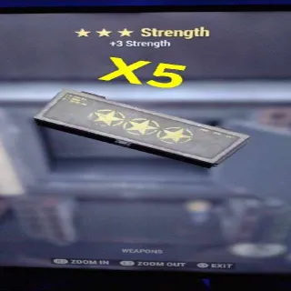 3 Star Strength Mod X5