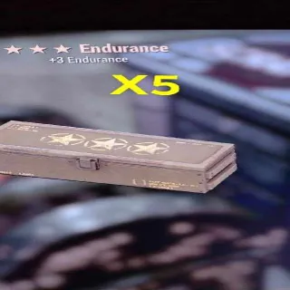 Endurance Mod X5