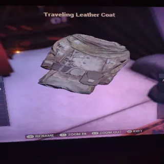 Traveling Leather Coat