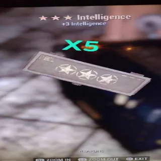 Intelligence Mod X5 3*