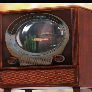 TV Aquarium Plan