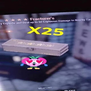 Fractures Mod X25