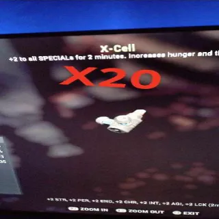 X Cell X20