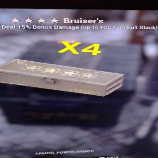 Bruiser's Mod X4