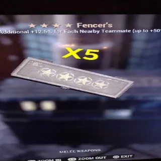 Fencers Mods X5