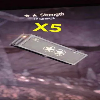 Strength Mod X5 2 Star