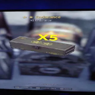 Endurance Mod X5 2star