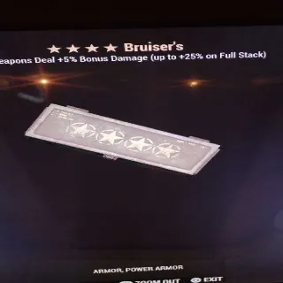 Bruiser's Mod/ 4 Star