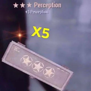 3 Star Perception Mod X5